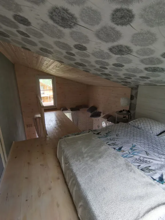 2-х этажный номер "Воздух" со звездным небом