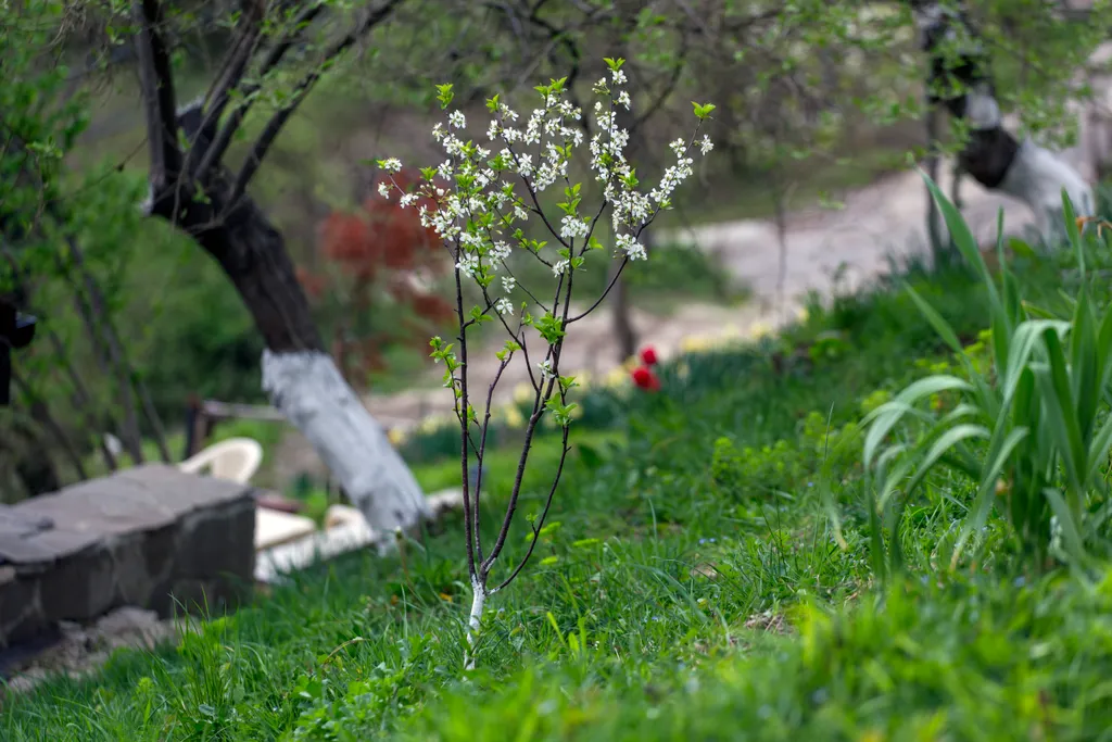 Коттедж Домик в горах — Адлер