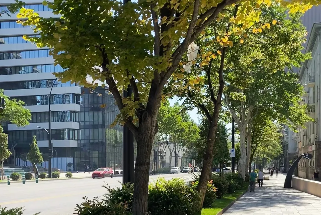 Дом, милый дом в центре города, Район Ваке