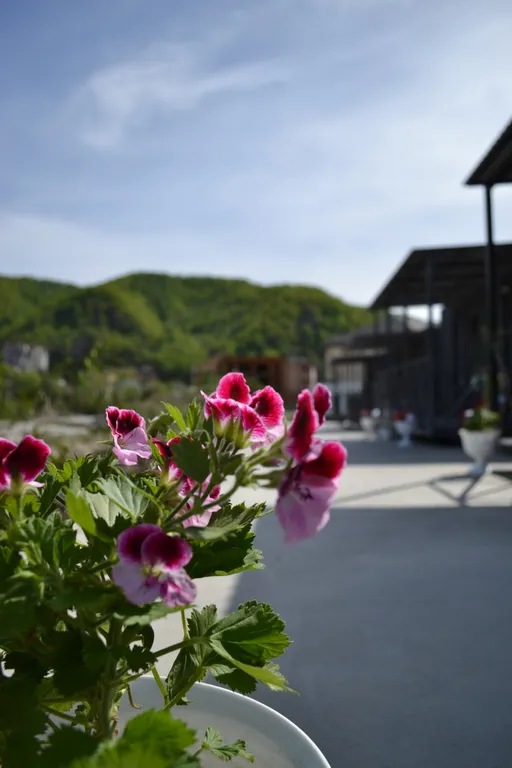 Бермуды - гостевой дом с видом на море, горы и горную реку