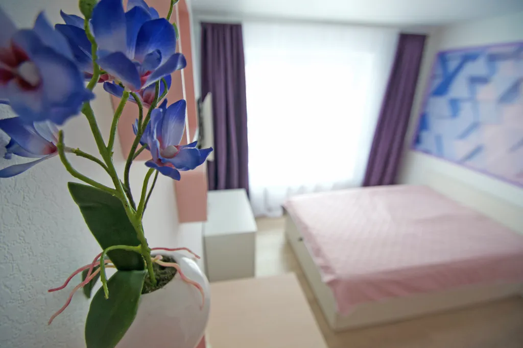 Светлая студия