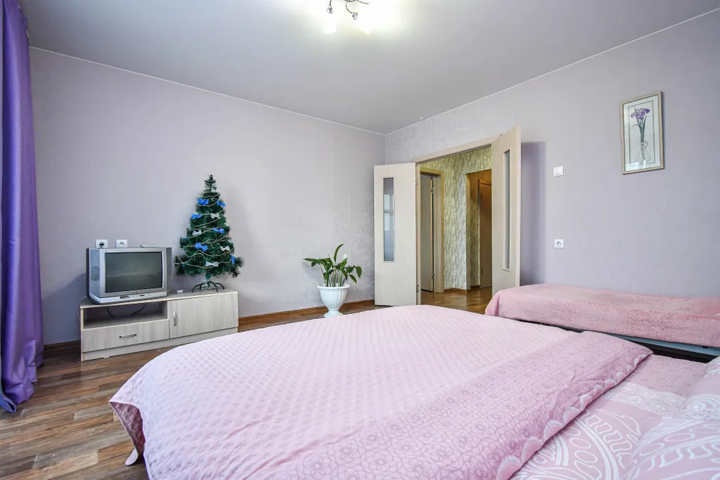 Квартира Уютная квартира возле ТРЦ Планета, где места хватит всем — Красноярск