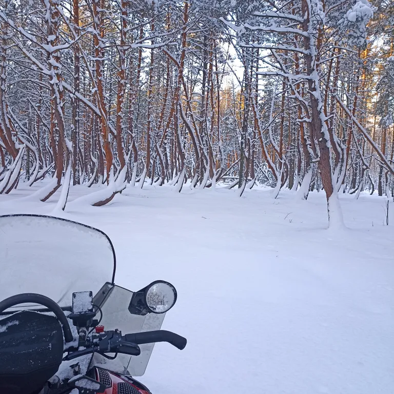 Дом на реке Оке