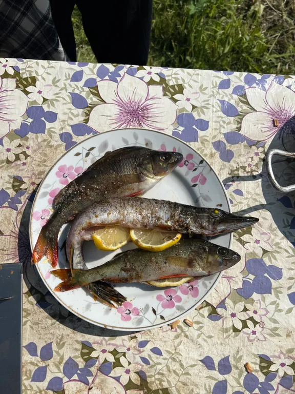 Уютный дом на берегу реки Водла для круглогодичного отдыха