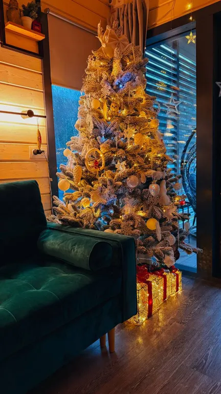 Уютный дом с панорамным видом на лес