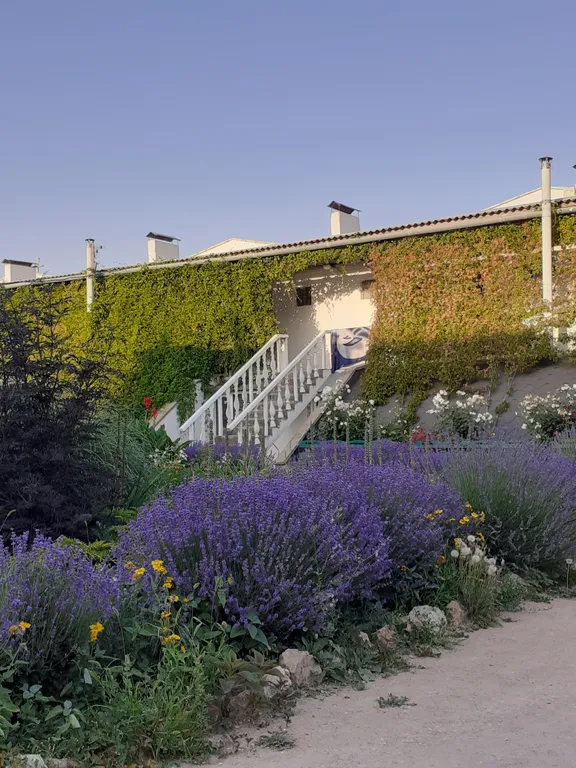 Квартира Квартира Уютный номер в Любоморье — Любимовка