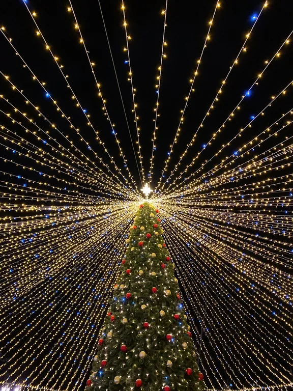 Просторная квартира в новом доме в центре города