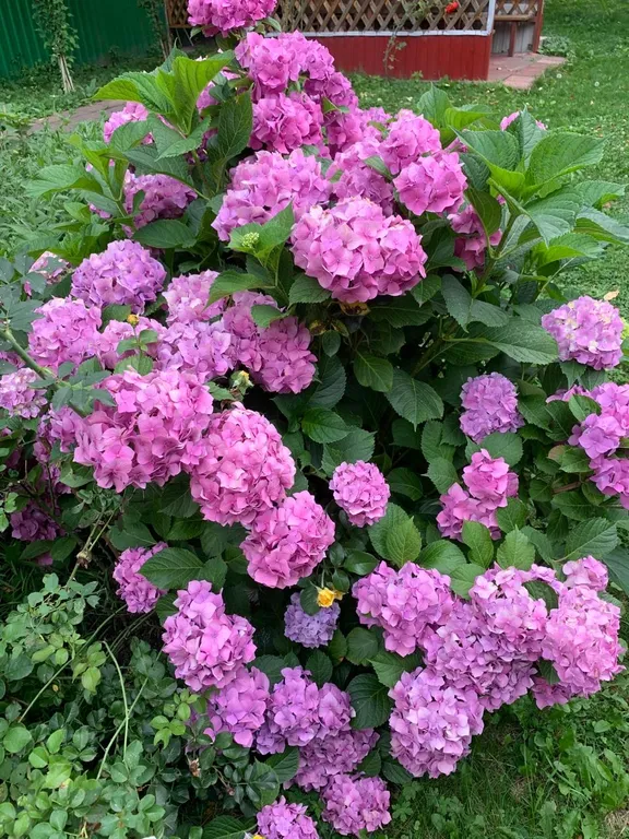 Уютный дом с бассейном, верандой и садом