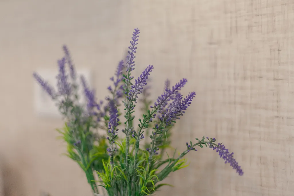 Апартаменты Стильная Студия