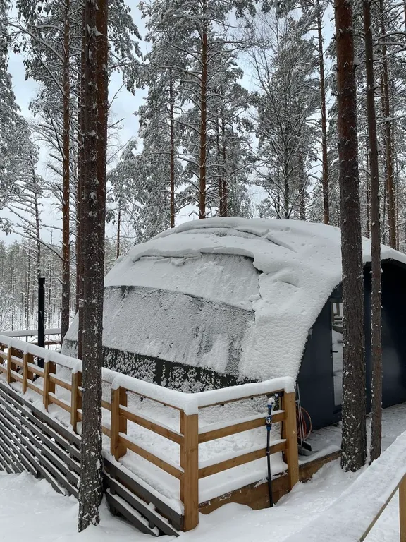 Коттедж Лесной дом лодж с купелью — Четверяково