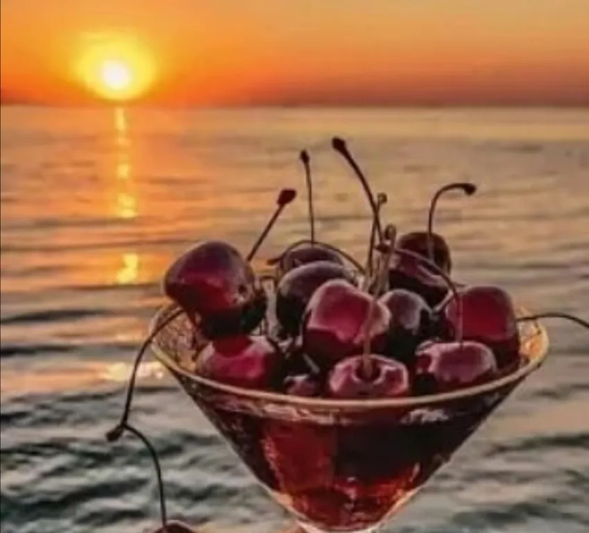 Квартира Уютная квартира у моря — Зеленоградск