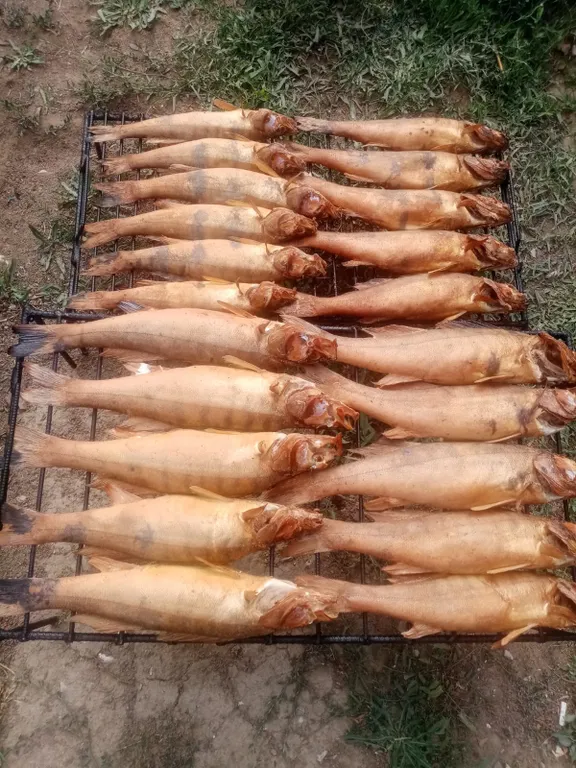 Домик для рыбалки в Астрахани