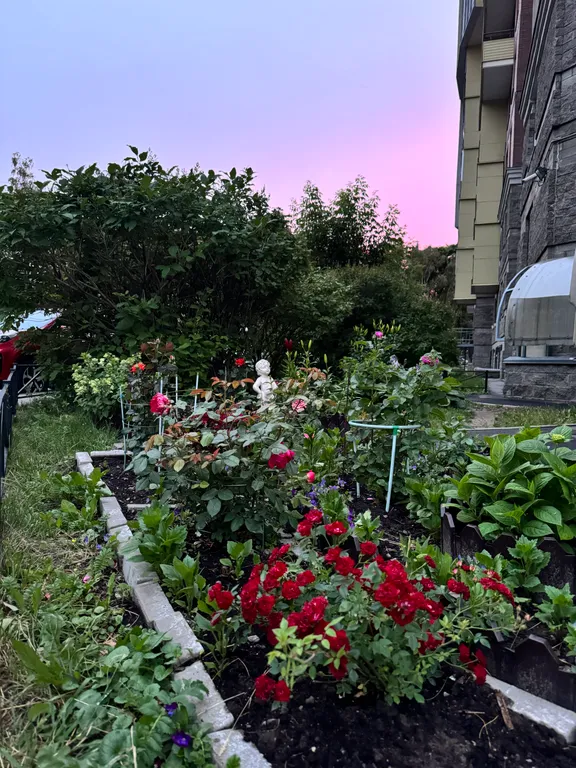 Уютная квартира с видом на Неву и центр