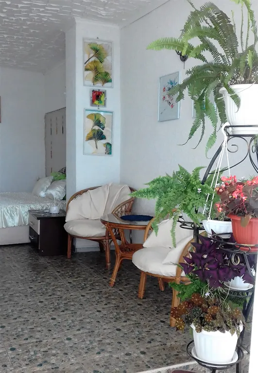 Апартаменты с террасой