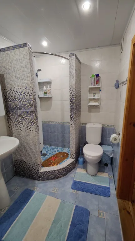 Частный дом с территорией и выходом в лес