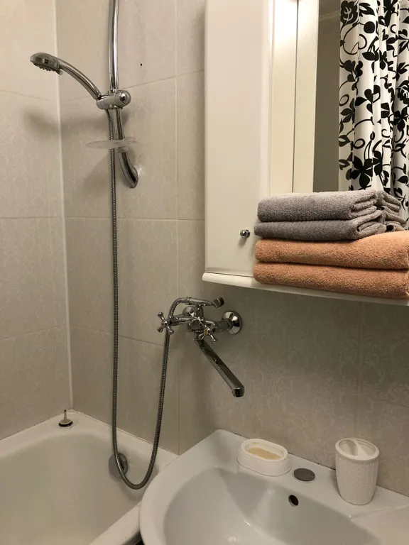 Просторная квартира на Шуменской