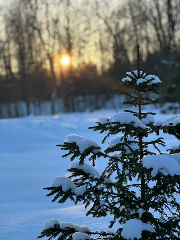 Коттедж Семейный коттедж на берегу реки Лава — Ручьи