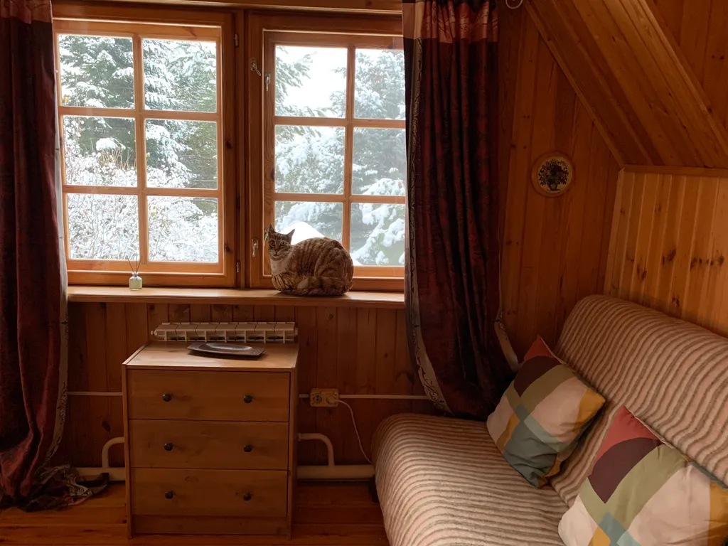 Коттедж Уютный загородный дом в стиле кантри — Борзые