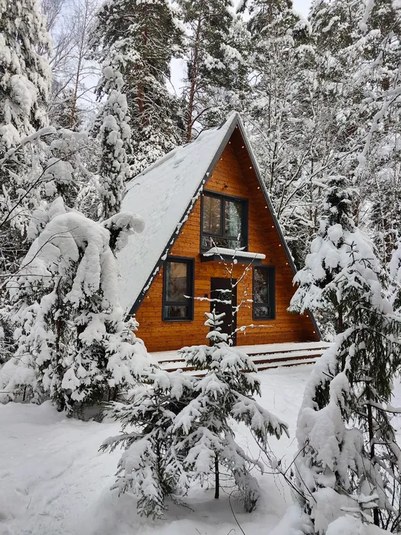 Коттедж Большой уютный дом в лесу — аренда посуточно в Раменское