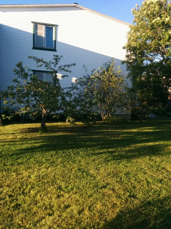 Коттедж Гостевой дом Илму с баней — Нижние Виданы