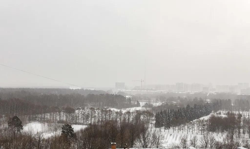 Квартира Дизайнерские апартаменты Forest View с видом на Останкинскую телебашню — Москва