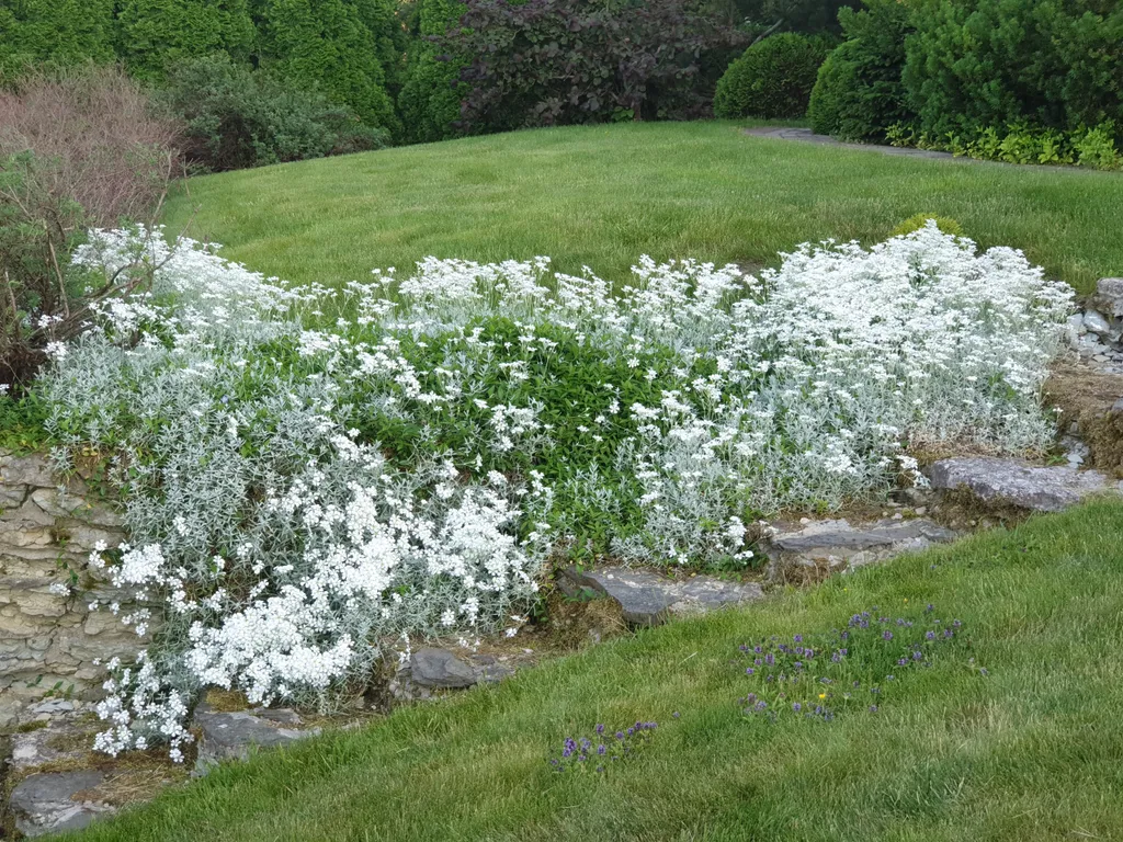 Шале у озера