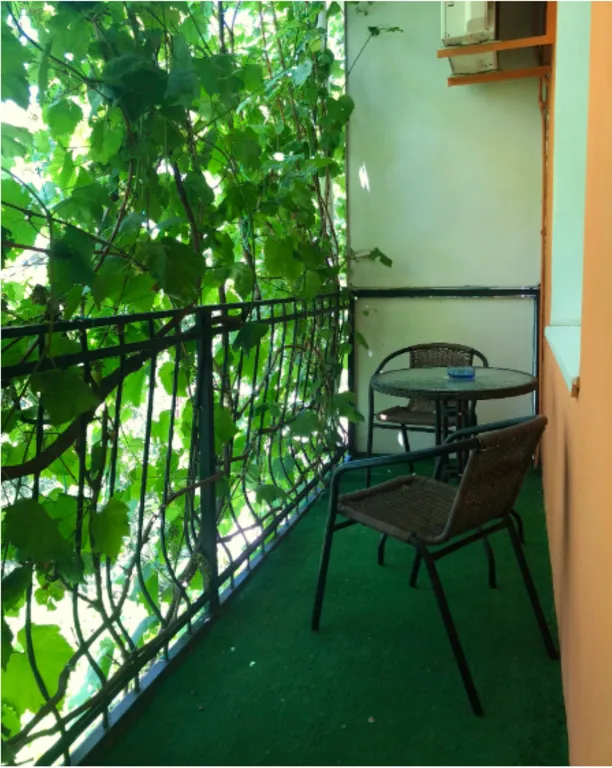 Двухместная комната с двумя кроватями, большой балкон