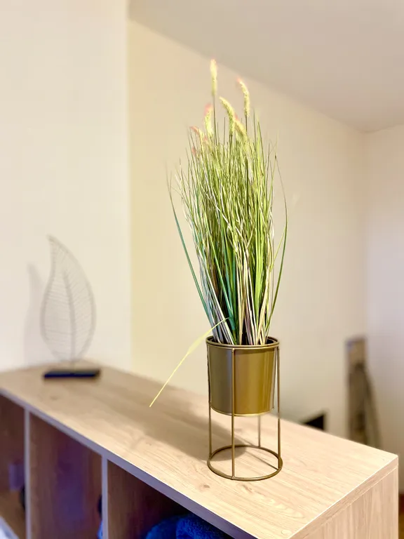 Уютная квартира недалеко от Аквапарка и Ледового дворца