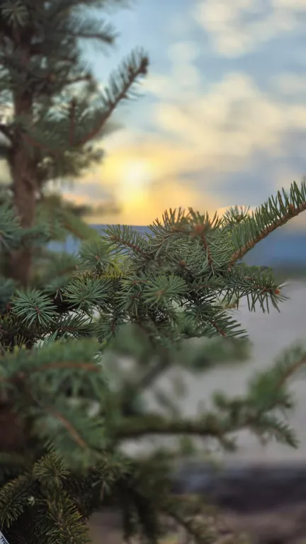 В этом доме с профессиональной баней хочется жить