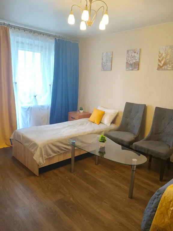 Уютная однокомнатная квартира в центре города