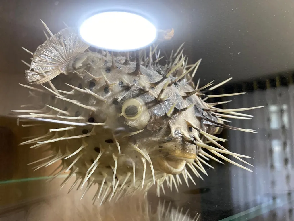 Отличная квартира в кирпичном доме в центре города