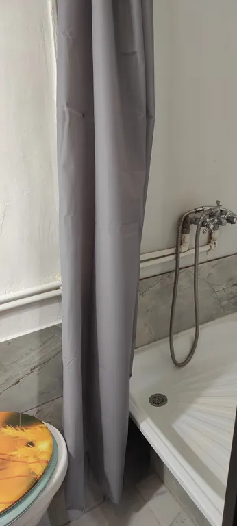 Студия с санузлом и зоной кухни