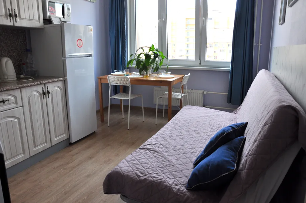 Квартира Светлая и комфортная квартира для отдыха в пути — Янино-1