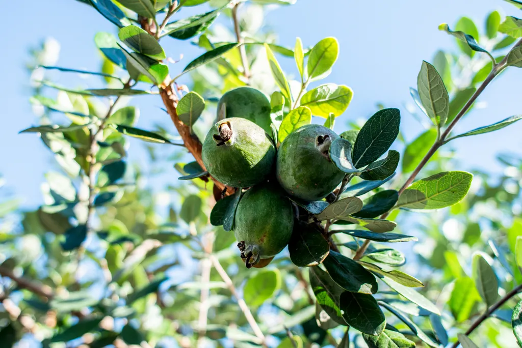 Уютный дом в центре