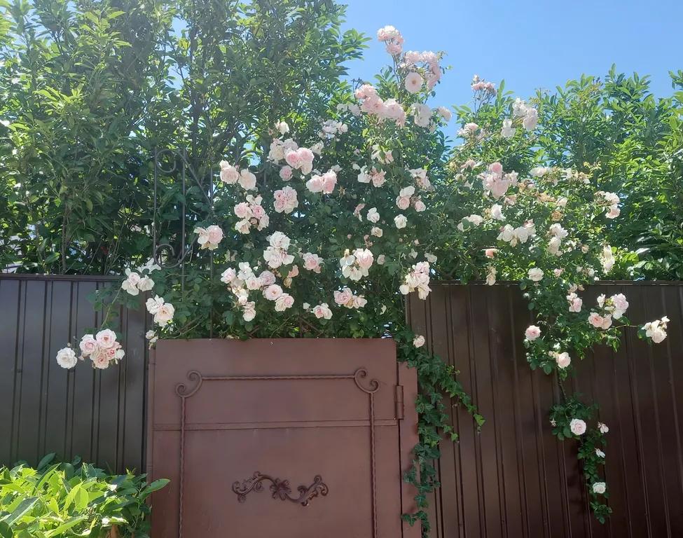 Коттедж Первый этаж дома у моря — Севастополь