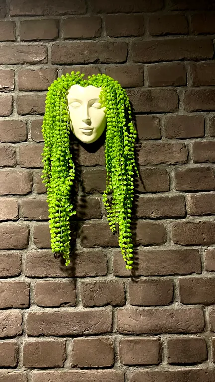 Иван-дача рядом с парком Кудыкина гора, дом Норди