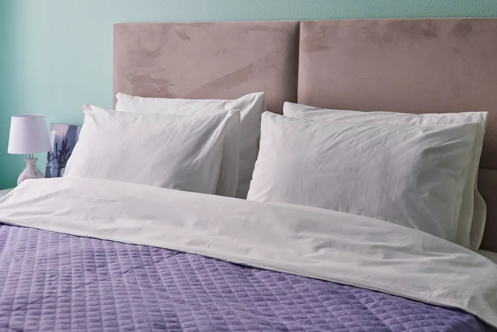 Квартира Комната — Санкт-Петербург