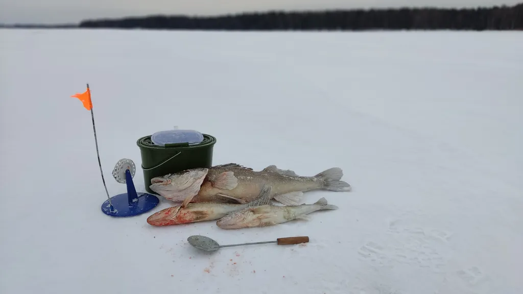 Коттедж Уютный домик на озере Волго на Селигере в сосновом бору — Турбаза Чайка
