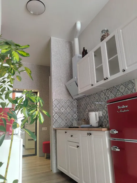 Уютная Арт студия в стиле Лондона 60 годов На границе Нацпарка