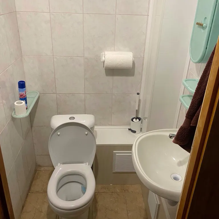 Уютный коттедж в лесу, недалеко от города Витебск