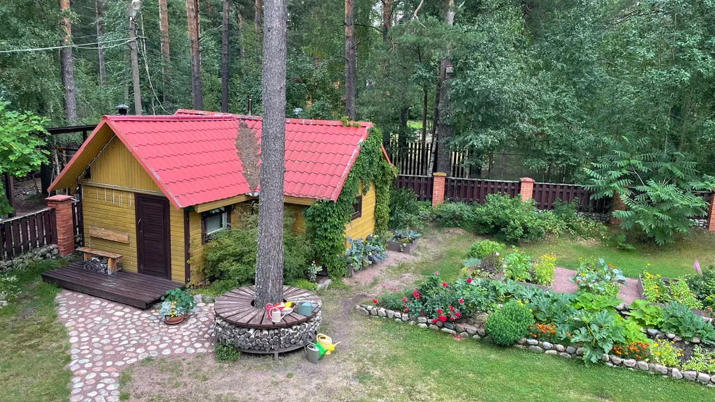 Коттедж Уютный домик в сосновом бору на берегу финского залива — Ключевое