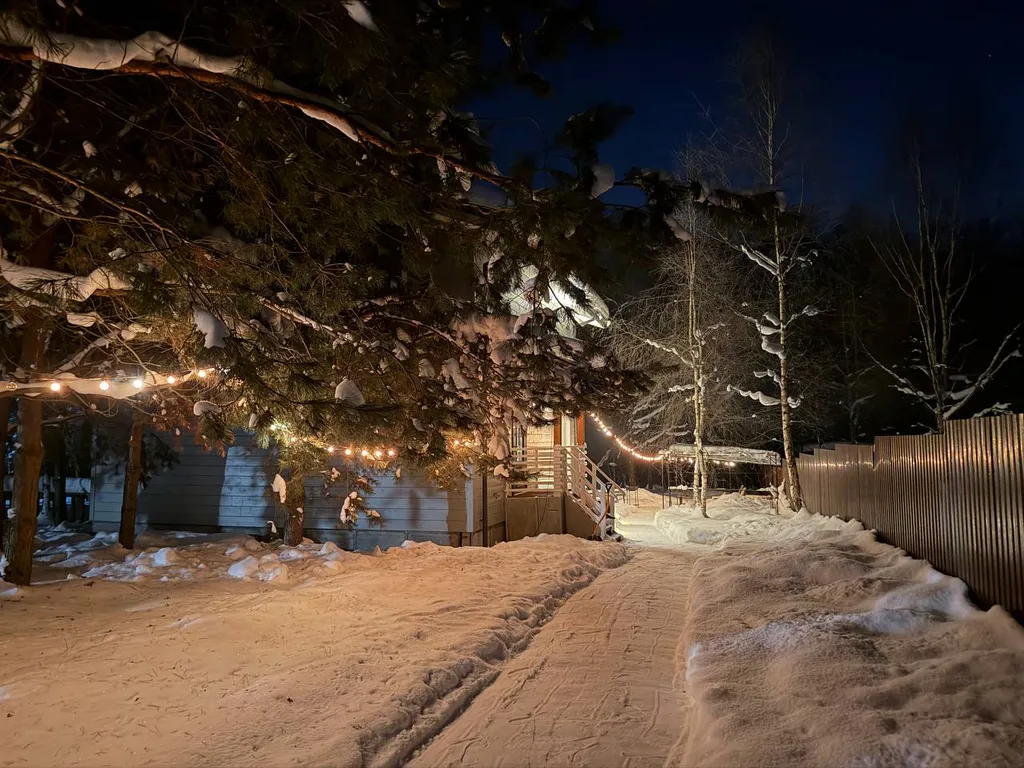 Коттедж Лариса