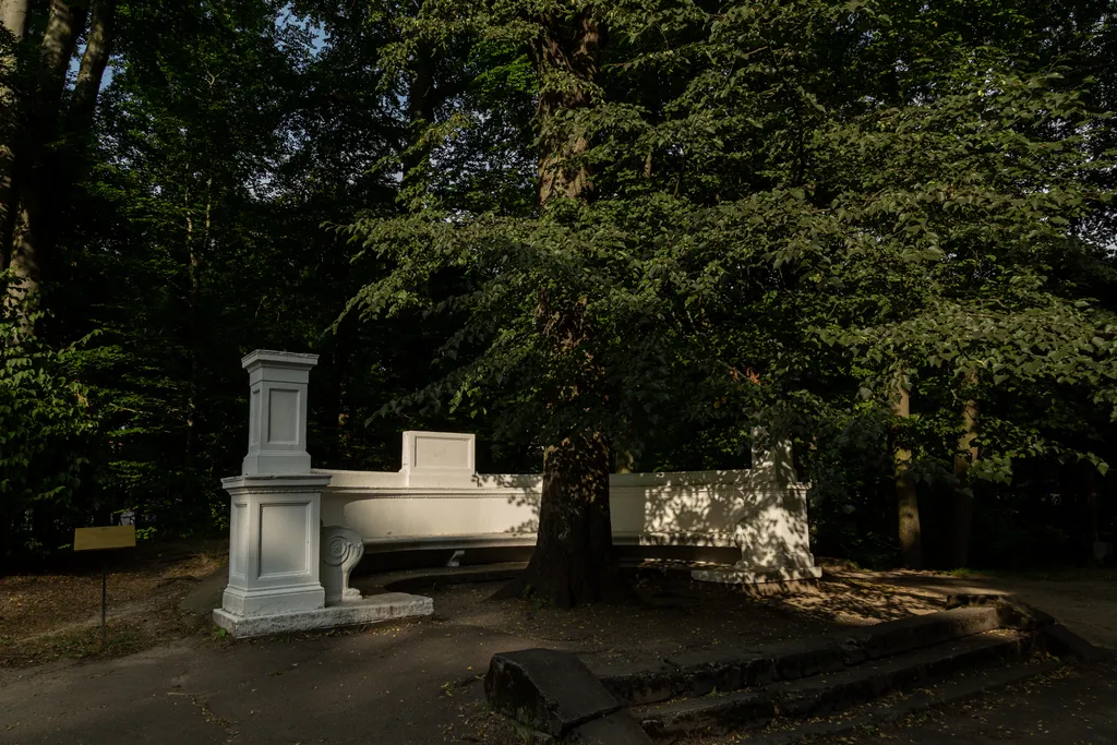 Квартира в районе Амалиенау