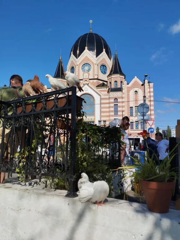 Квартира Квартира Двушка в самом туристическом сердце города — Калининград