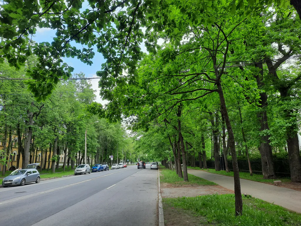 Квартира Квартира у парка — Пушкин