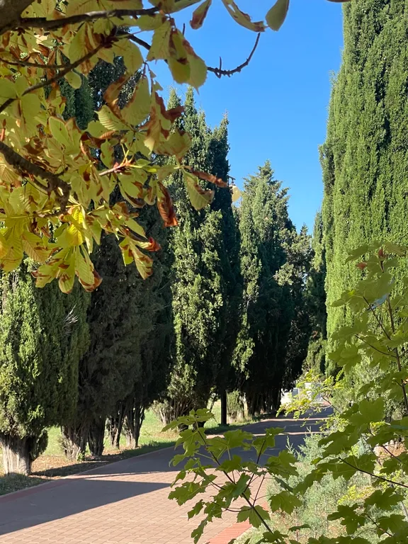 Квартира Апартаменты с видом на море, в Парке Победы — Севастополь