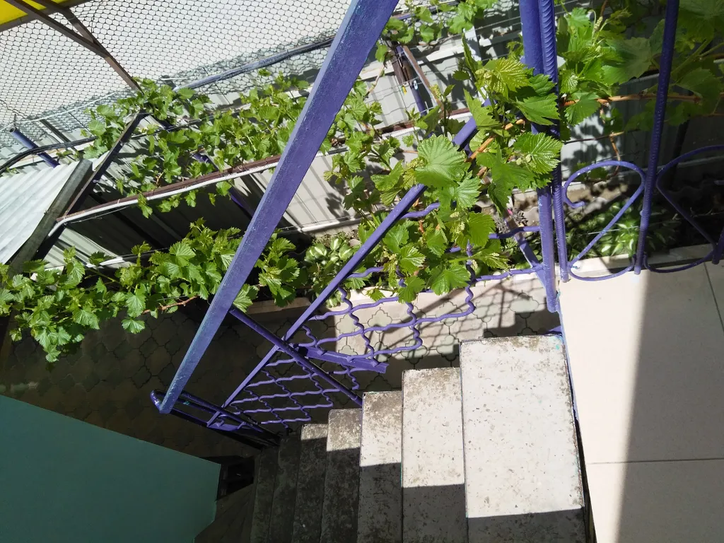 Номер для вашего уюта