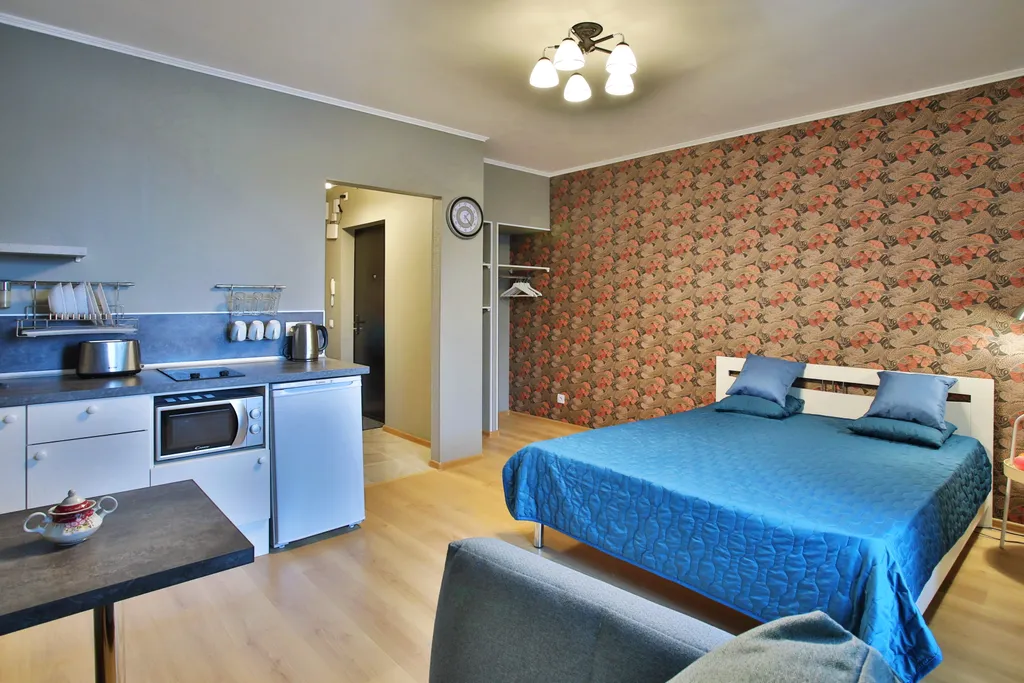 Квартира Квартира Уютная студия в Песочном — Песочный