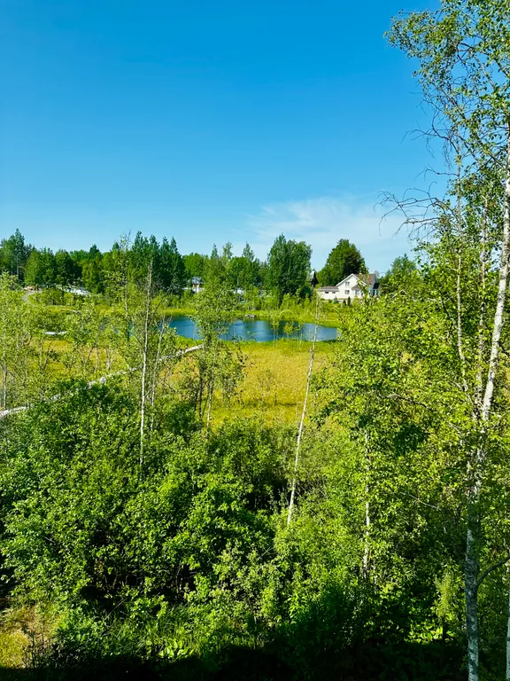 Коттедж Уютный загородный дом с сауной - отдых вашей мечты — Борисово