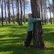 Наталья
